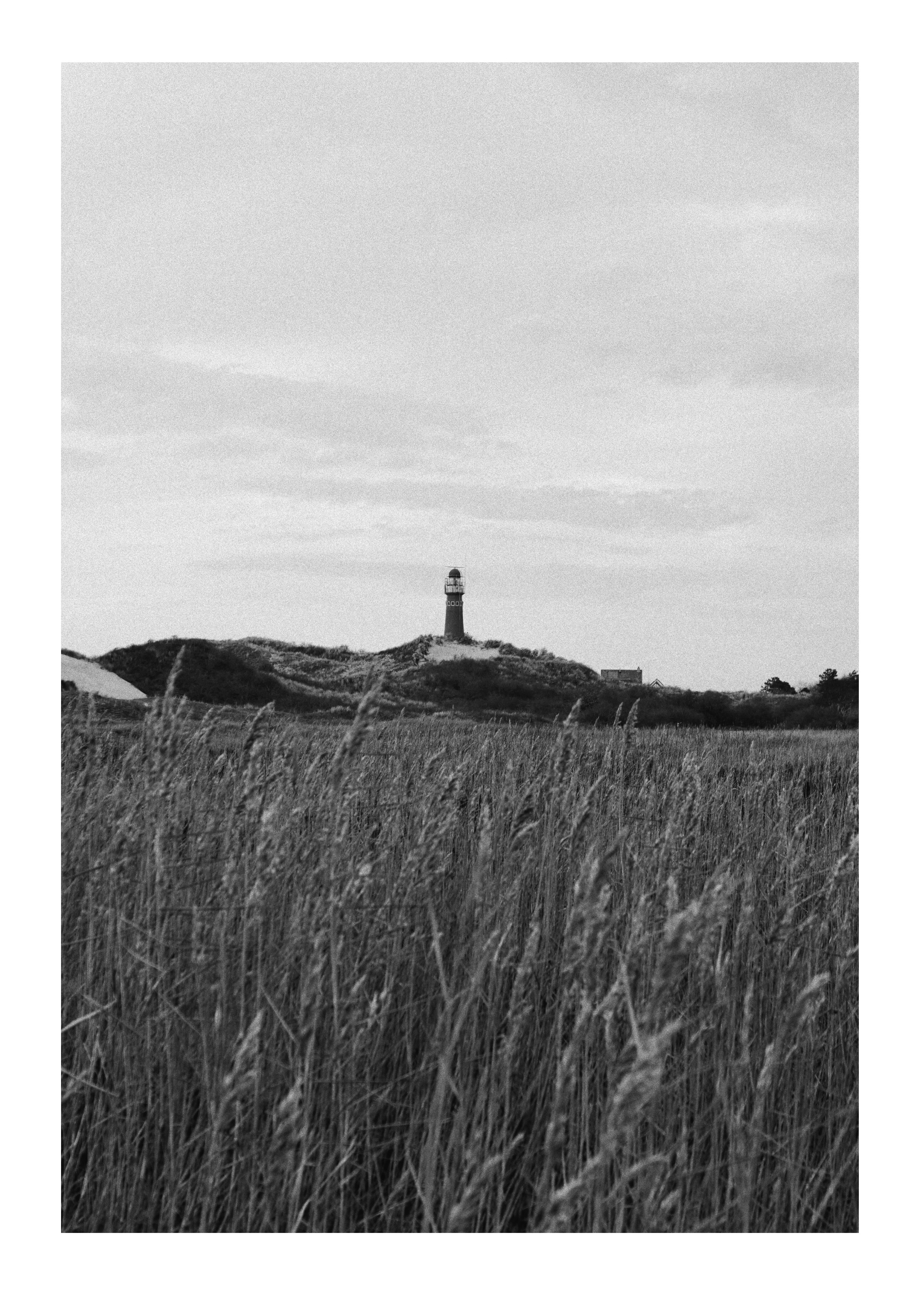 Smiley Plate — full image